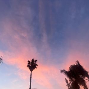 Meet your Posher, Kelli